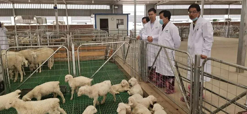 深化教研企協同，共拓畜牧發展新局——黨委書記楊孝列帶隊赴甘肅中盛農牧集團開展考察交流